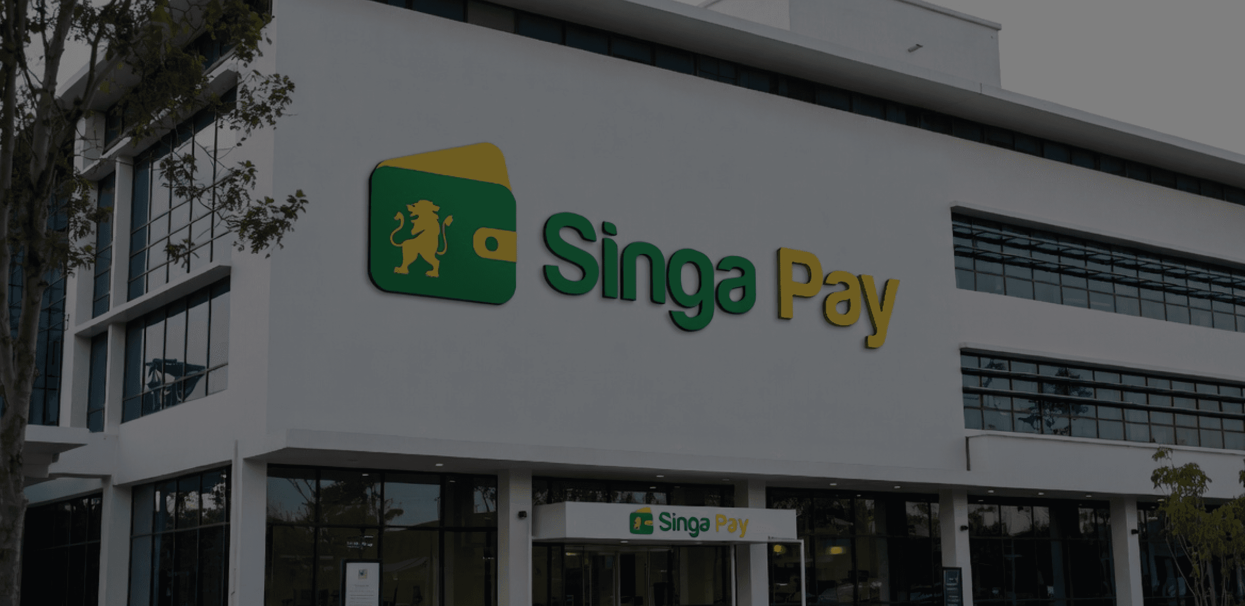 Singapay team collaboration in the office